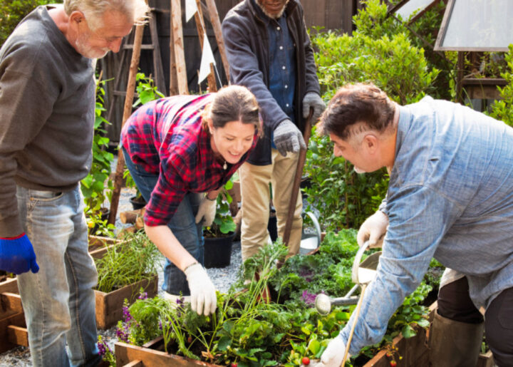 Groep mensen werkt in de tuin